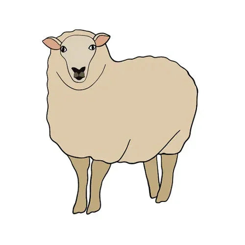 A simple, cartoon-style illustration of a sheep standing on a white background.