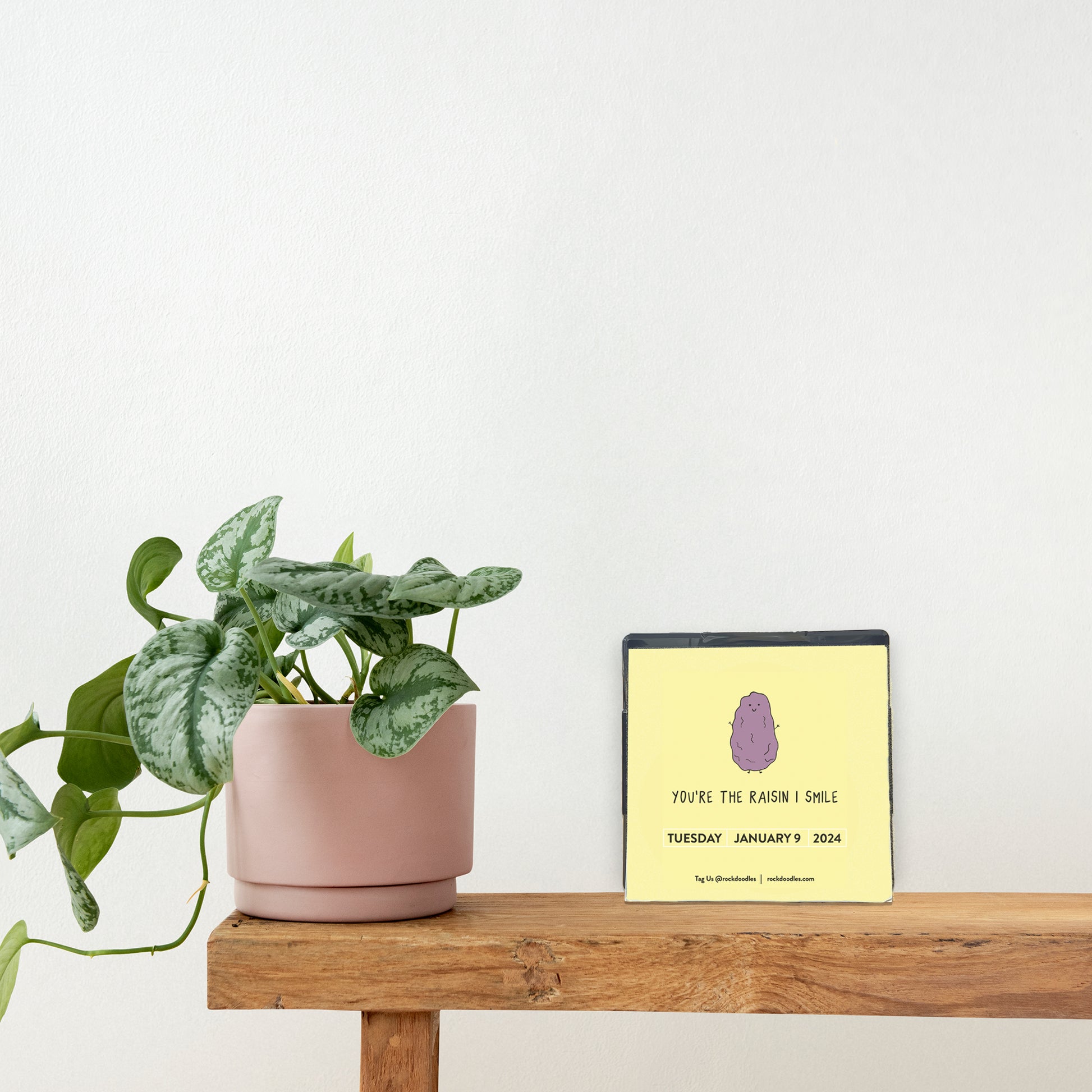 A plant sits on a wooden table next to a 2024 Rockdoodles Punny Day-To-Day Calendar, adding a touch of nature amidst the technological charm.
